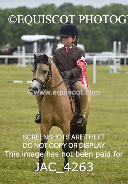 JAC_4263 - WORKING HUNTER CHAMPIONSHIP