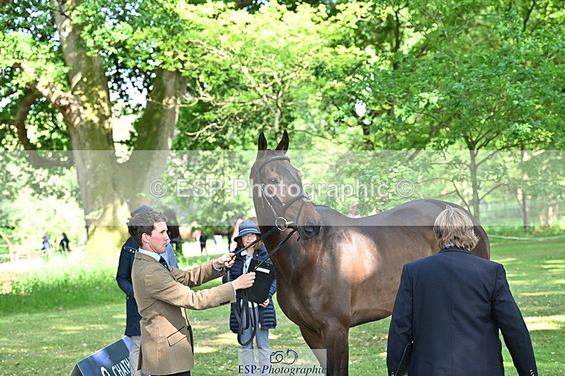 250521A-162642-01148 - C-223-Tom.McEwen-BROOKFIELD.DANNY.DE.MUZE