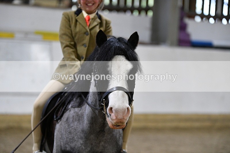 WJ5_8445 - Class 14 Novice Ridden/Rider