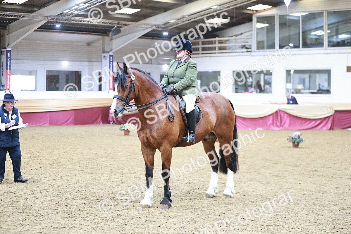 SBM_08931 - Class 12R - Regional Ridden Pre-Vet