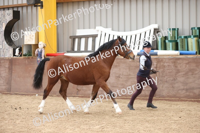 20251109-0899 - Class 26 - 2 and 4 Year Olds