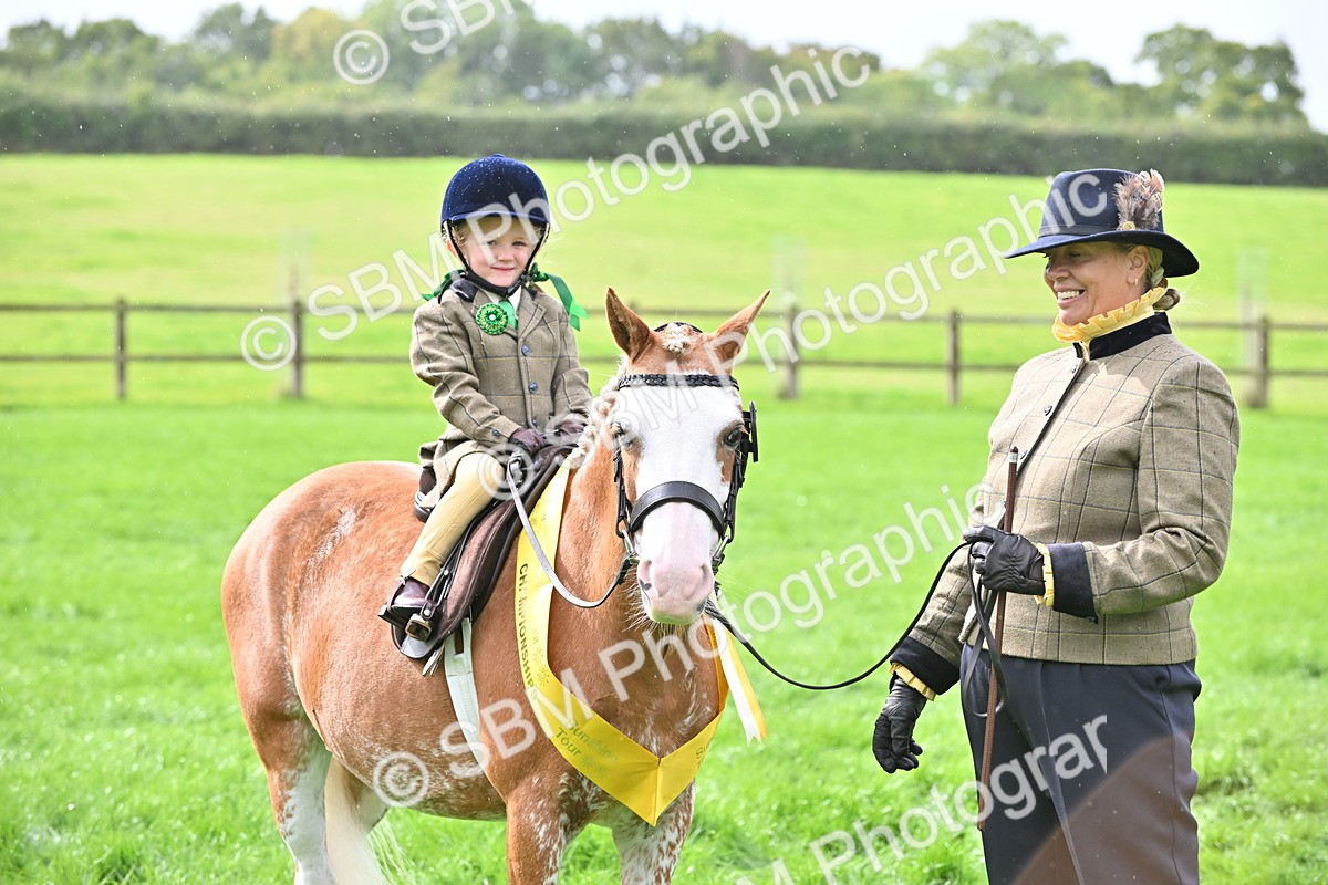 SBM_38356 - S19 - Lead Rein Show & Show Hunter Pony
