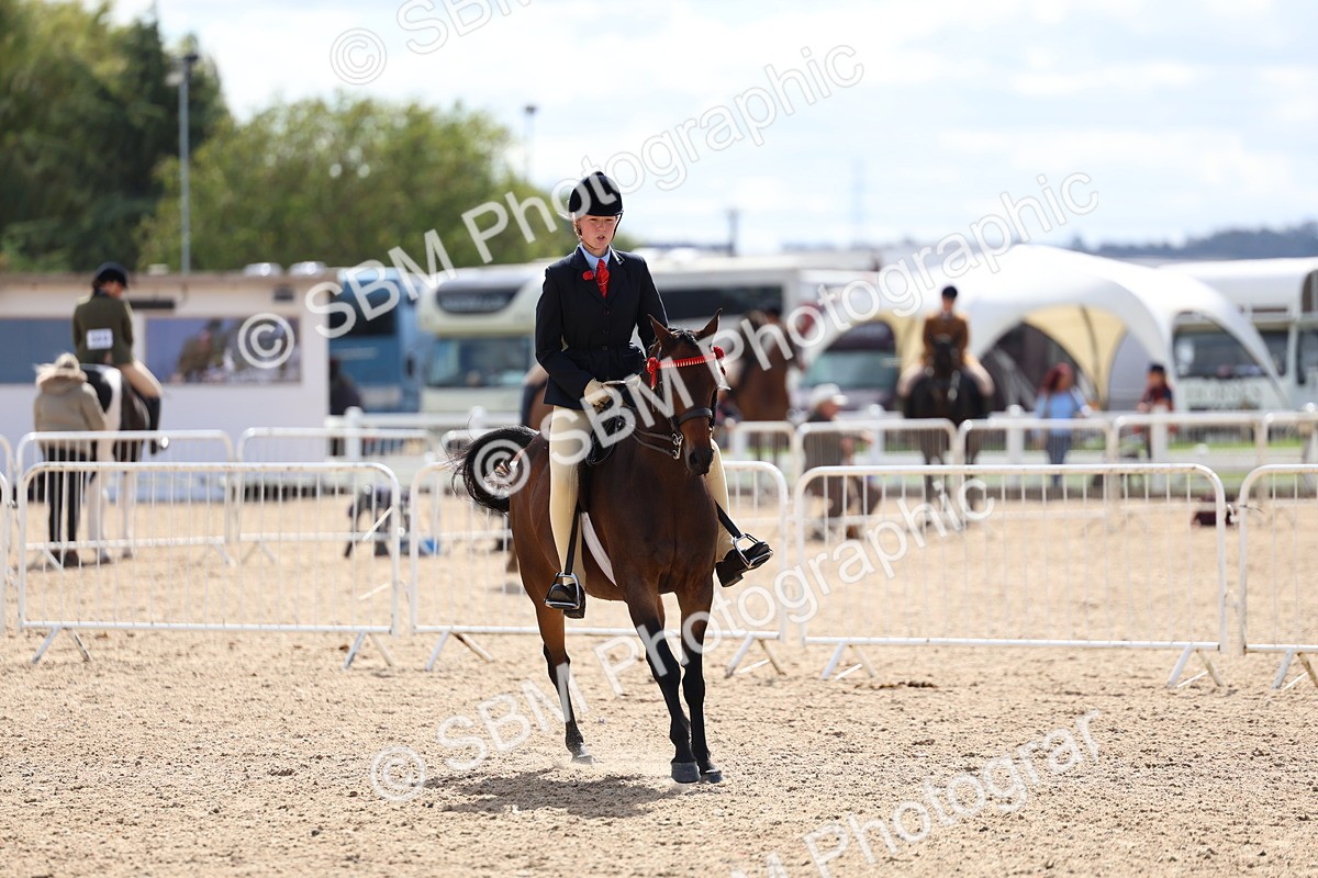 SBM_13308 - Class 311 - Ridden Show Pony Show Hunter Pony