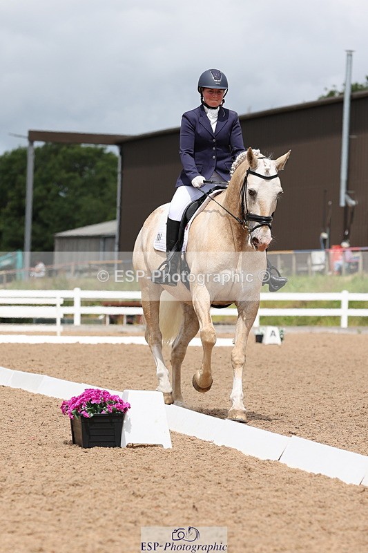 240622A-140700-11911 - Cls 29 BD Elementary 45