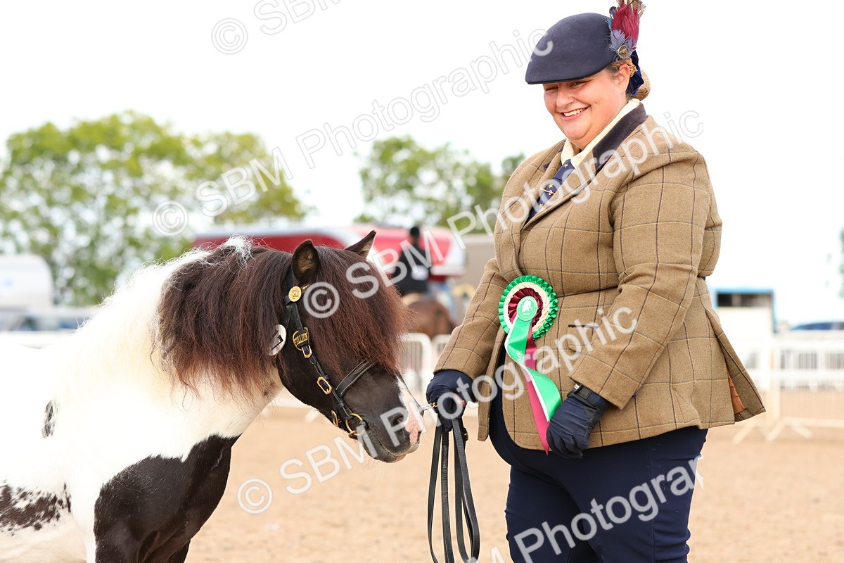 SBM_10349 - Class 206 - IH Non Show Type Pony