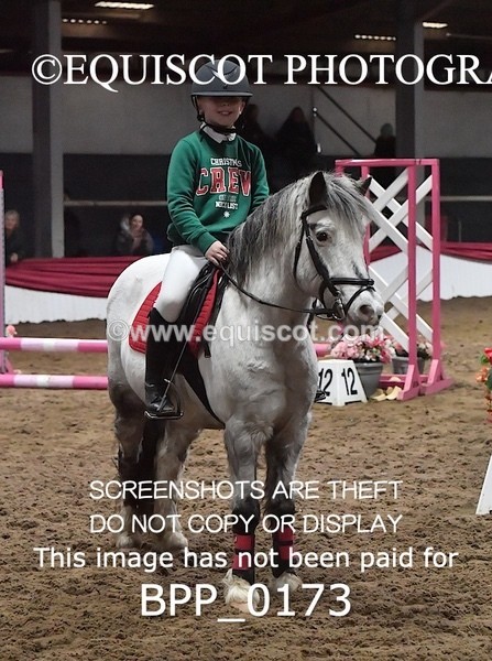 BPP_0173 - CLASS 2 40CM