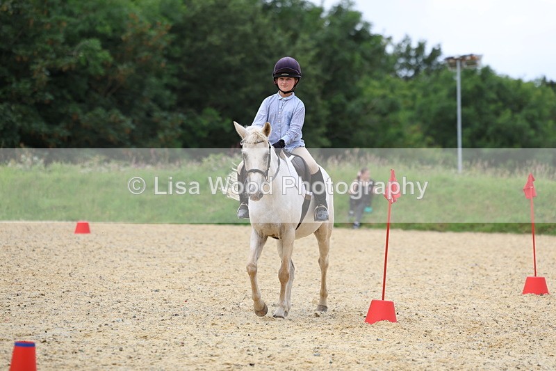 3E7A9505 - Walk trot run