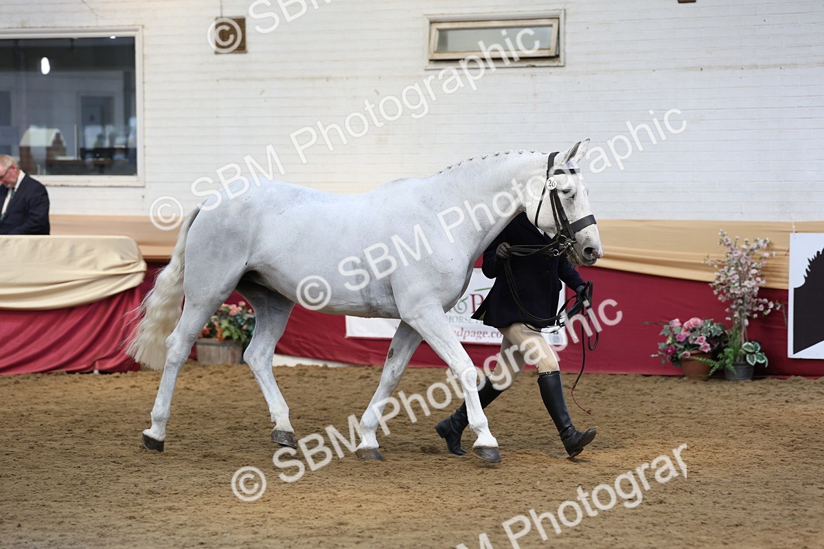 SBM_23585 - Class 904 - Supreme Final - Ridden Diamond