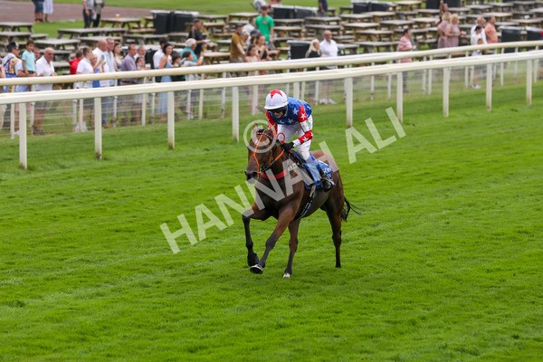 100923-Pony Race 1-Seal The Deal-3647 - Pony Race 1 12.25 The Dragon (TV and Film) Studios Pony Race 148cm & Under