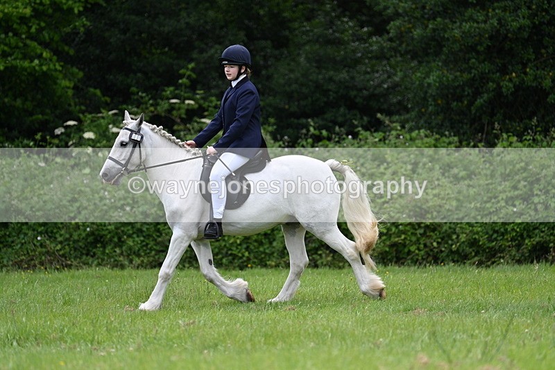 WJ7_2616 - Class 12A Coloured Class