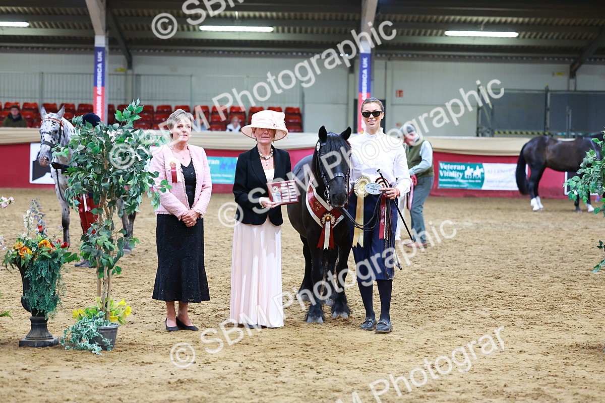 SBM_16291 - Class 901 - Sup Final - IH Diamond