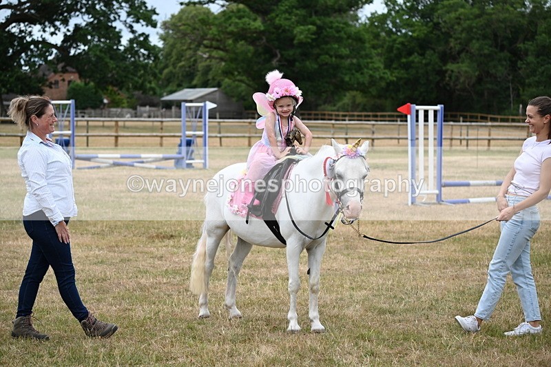 WJ6_4985 - Class 11 Fancy Dress