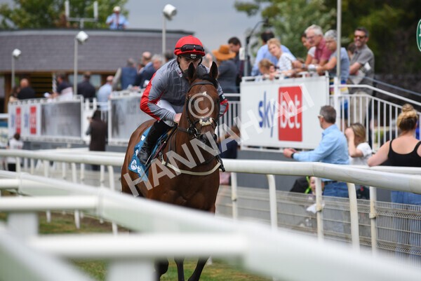 yr04092022r1-14 - Race 1 1.45pm IRE Incentive, It Pays To Buy Irish EBF Novice Stakes