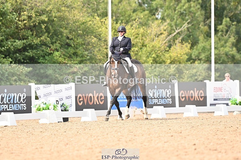 250816-150916-05773 - 130-Donna.BoydVagebond.vd.Withoeve.Z