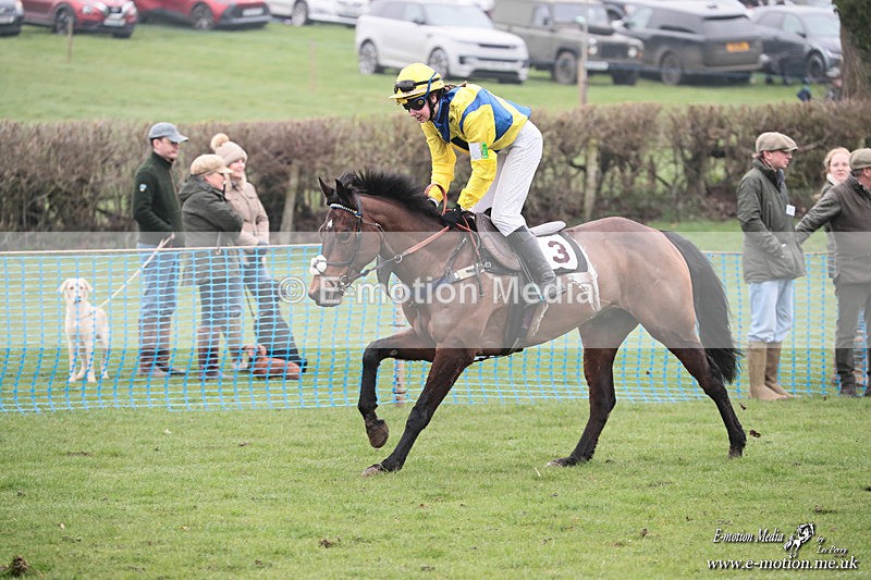 PR PtP 080326 278 - Guilsborough Pony Races 08/03/26