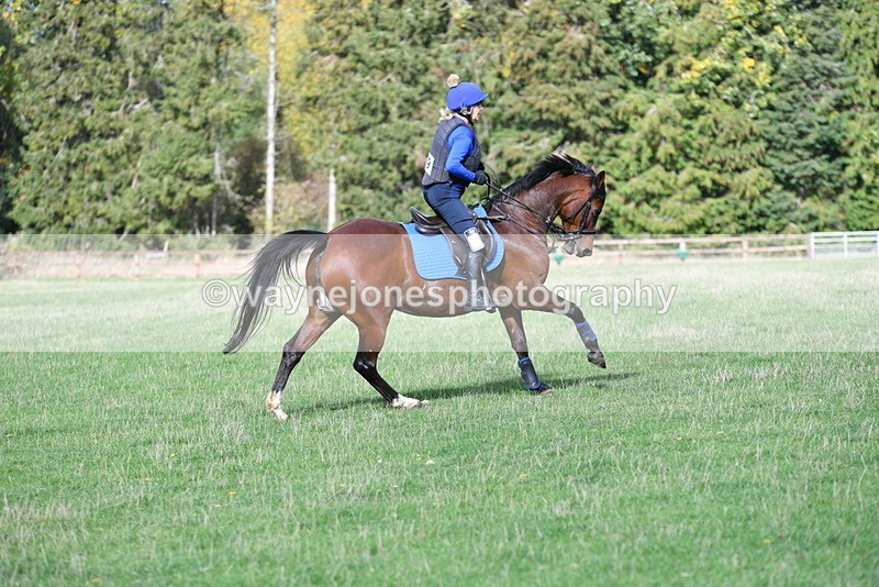 WJ5_7959 - Time 10:31 to 12:01