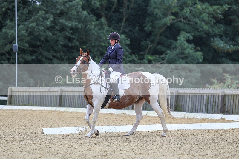 3E7A4792 - Class 1: Intro 4 2024 section A