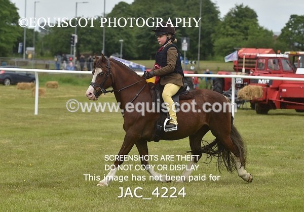JAC_4224 - WORKING HUNTER CHAMPIONSHIP