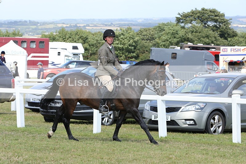 1X9A5861 - Class 41:. NPS New Forest & Connemara