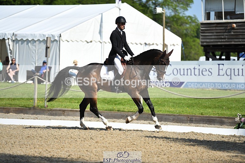 230525-094158-01649 - 307-PENHILLS_CANDY_MAN-Max_Warburton-WEDTrotUp+DR