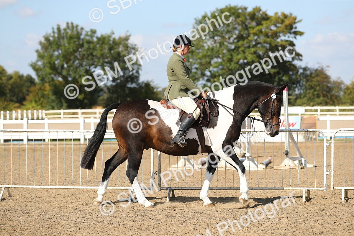 SBM_03107 - Class 44 Riding Club Horse/ Pony