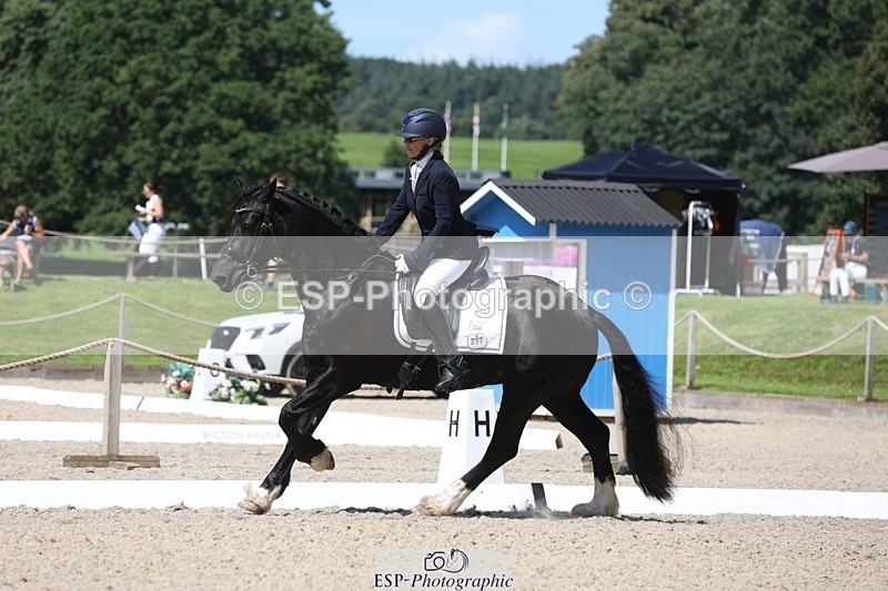 230811-121855-01033 - Cls 1 Prelim Bronze 11.10 to 12.35 break