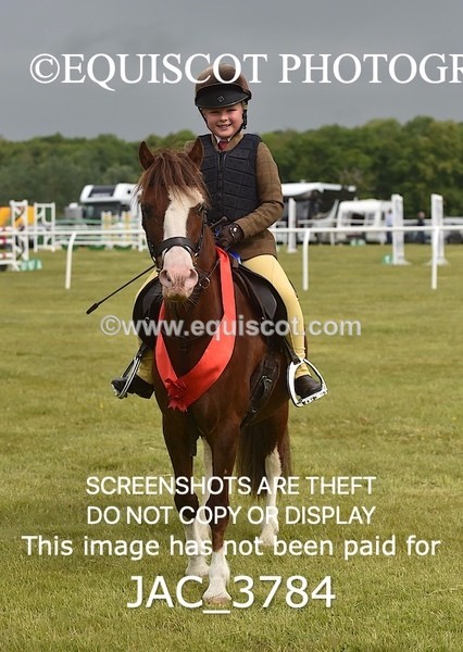 JAC_3784 - 75CM WORKING HUNTER