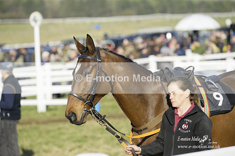 PtP 270222 252 - South & West Wilts Point-to-Point Larkhill 27/02/22