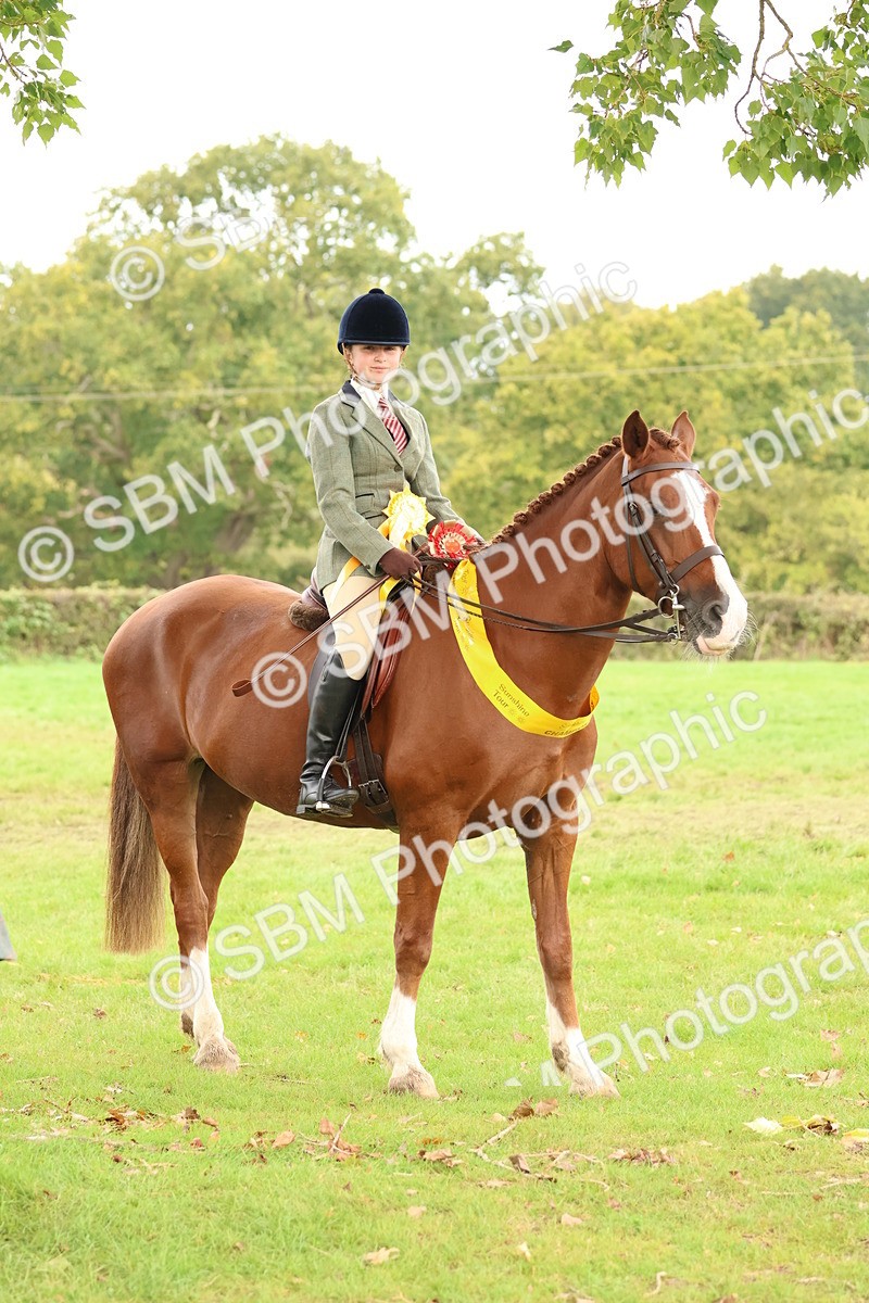 SBM_59810 - Start Supreme Championship