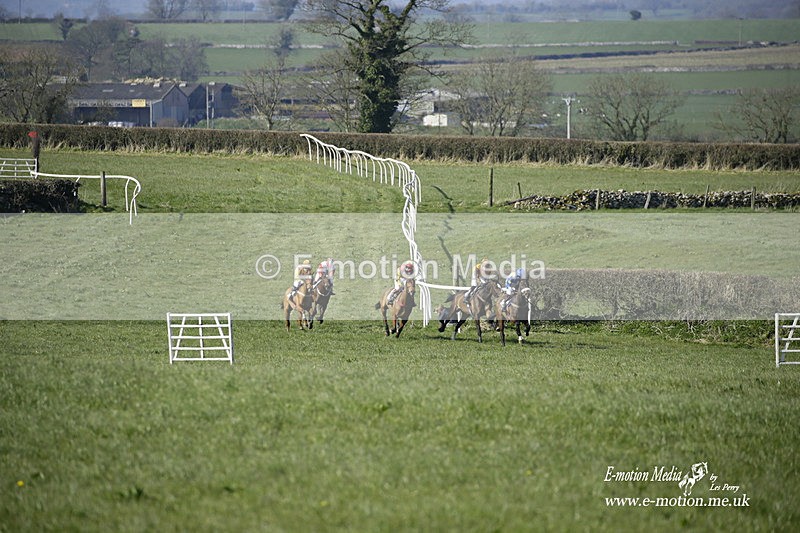 PtP 200322 221 - Mendip Farmers Point-to-Point 20/03/22