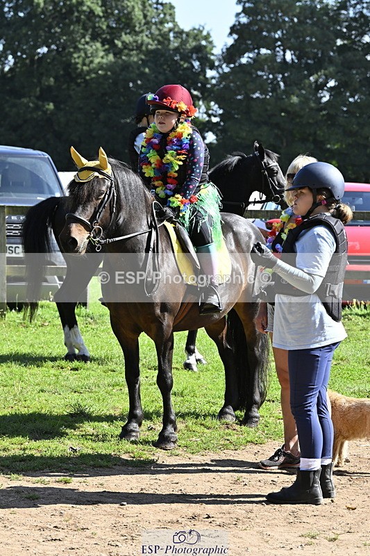 240728B-094947-00183 - Sunday Stable Shots and Fancy Dress