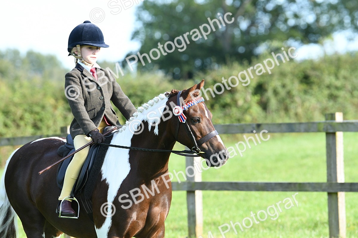 SBM_52354 - S22 - 1st Ridden Show & Show Hunter Pony