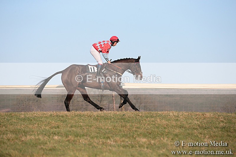 PtP 230219 600 - Vine & Craven Point-To-Point - Barbury 23/02/19