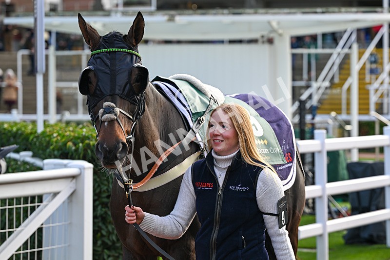 241025-Race 7-Awaythelad-5366 - Race 7
