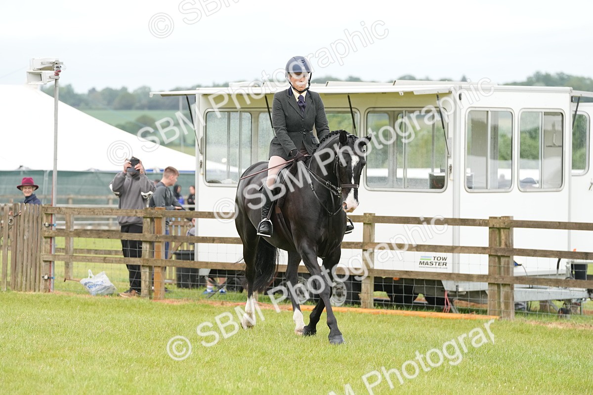 SBM_12713 - Class 97-98 - LIHS BSHA Rising Star Working Show Horse Hunter