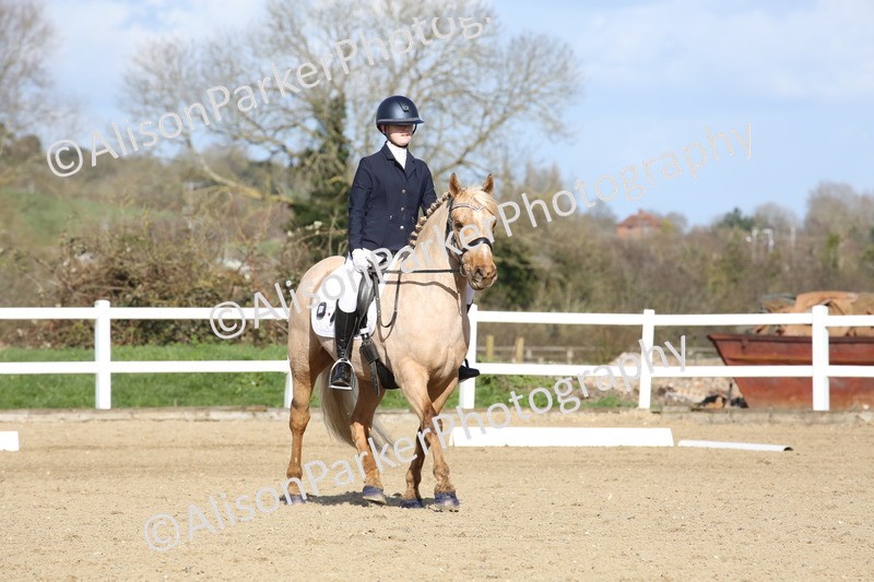 20260314-5163 - DR6 - Novice 2