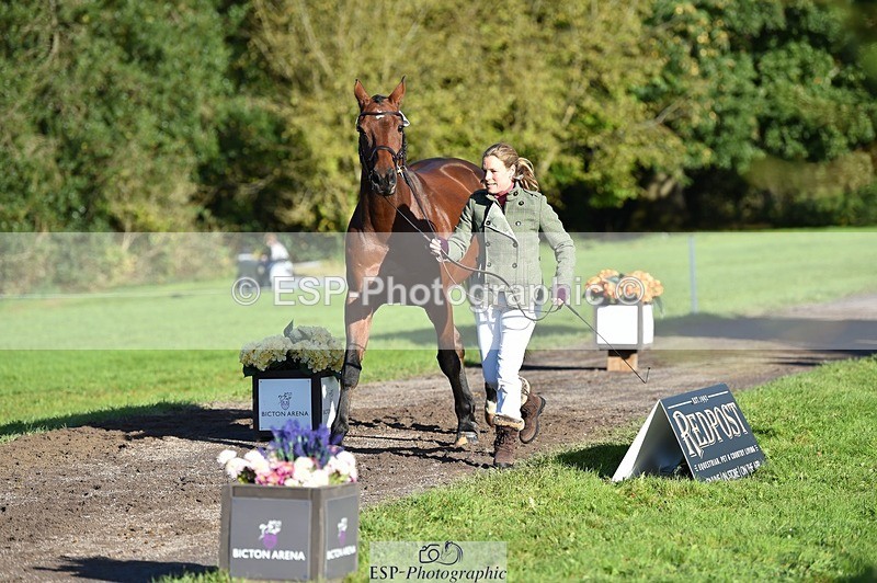 231022-101942-22414 - 433-WILLIAM-Laura.Sharpe-TrotUp+SJ