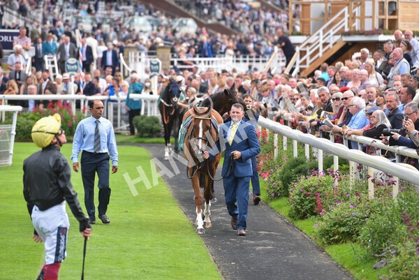 yr20082021r2-14 - Race 2 2.25pm Weatherbys Hamilton Lonsdale Cup (British Champion Series race)