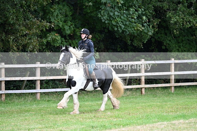 WJ7_7746 - 40cm Time 10:49 to 11:18