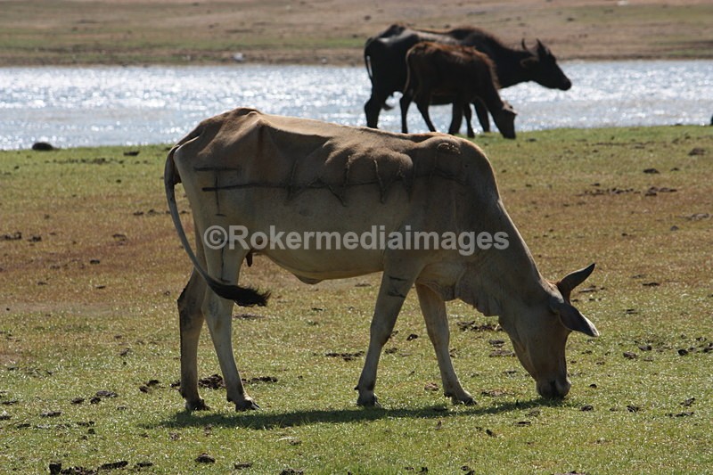  - Travel and culture