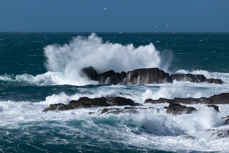 Wave! - Cornwall