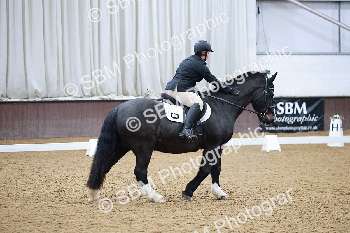 SBM_000178 - Class 17-6-18 - TQ U21 Novice 3Novice 3-MQ Open Prelim 1