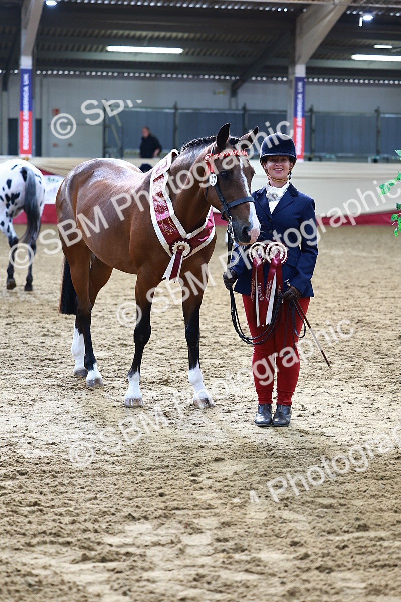 SBM_21929 - Class 901 - Supreme Final - IH  Diamond