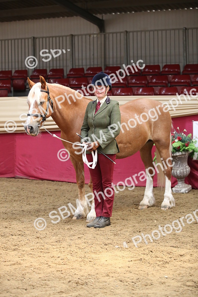 SBM_05399 - Class 8R - Regional IH Veteran