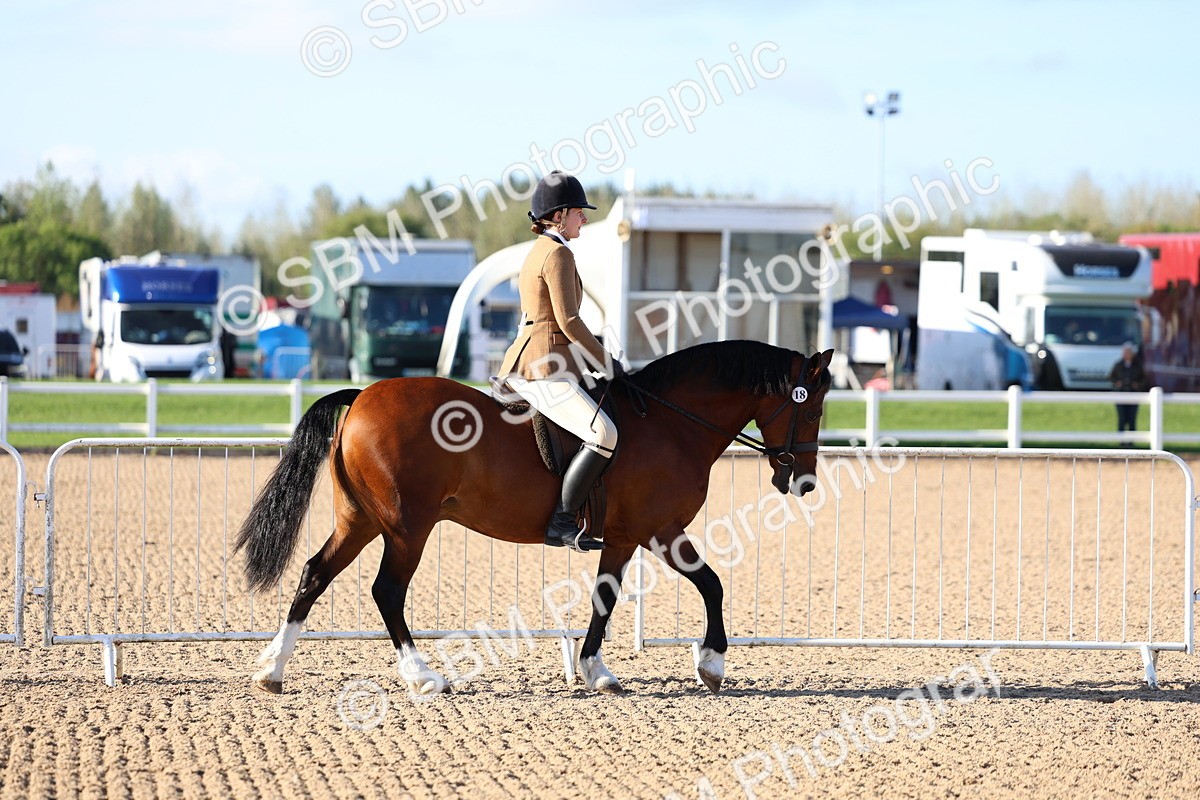 SBM_08703 - Class 302 - Ridden M&M - Large Breeds