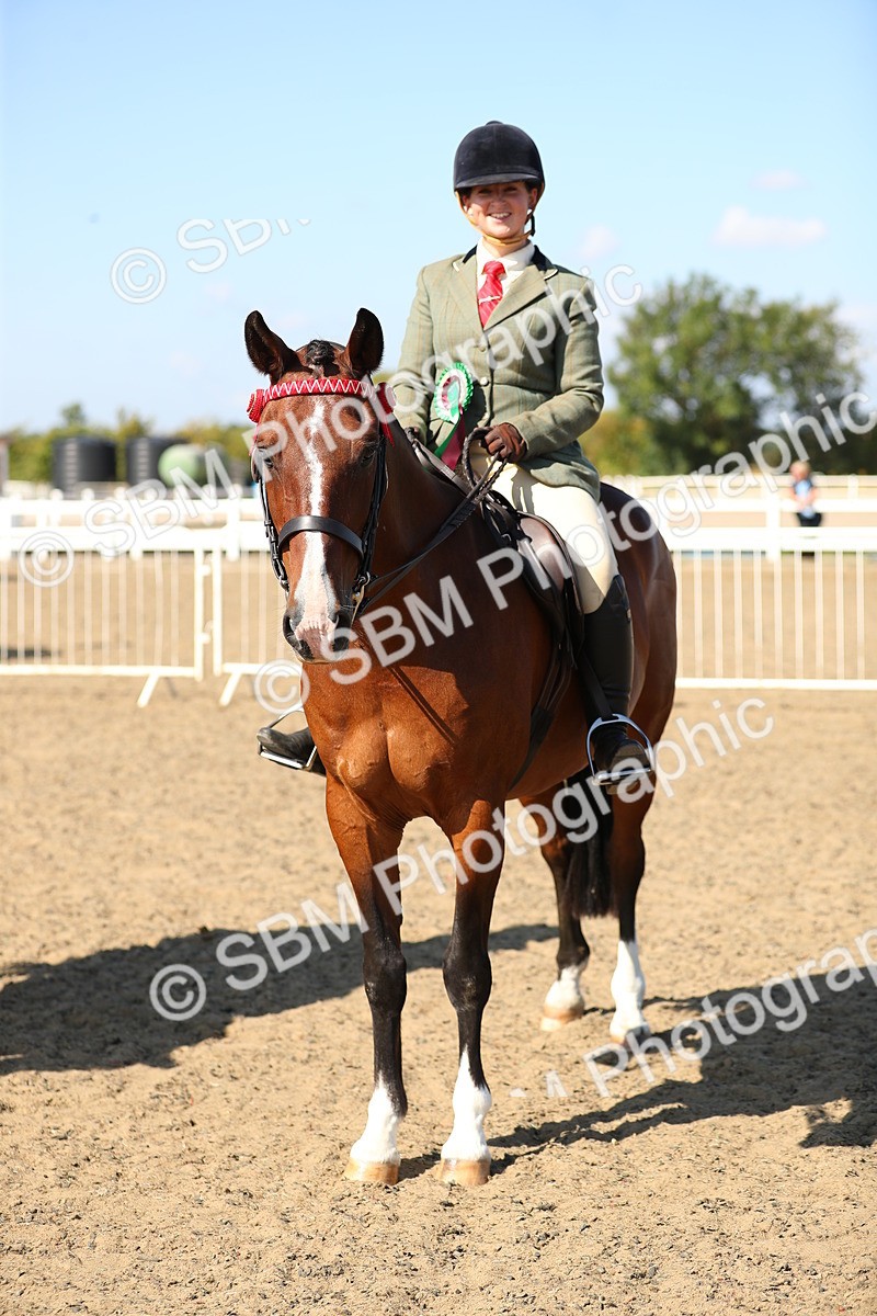 SBM_02390 - Class 43 Ridden Competition Horse/Pony