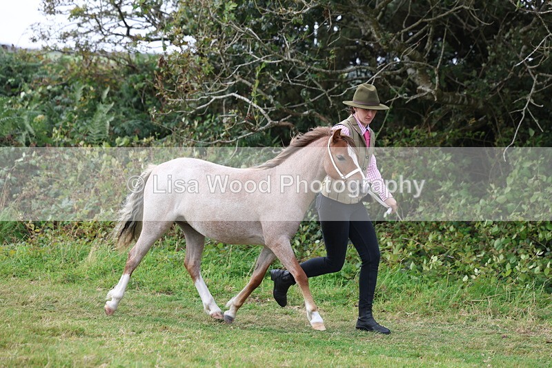 3E7A5376 - Class 19: Best Coloured in Hand