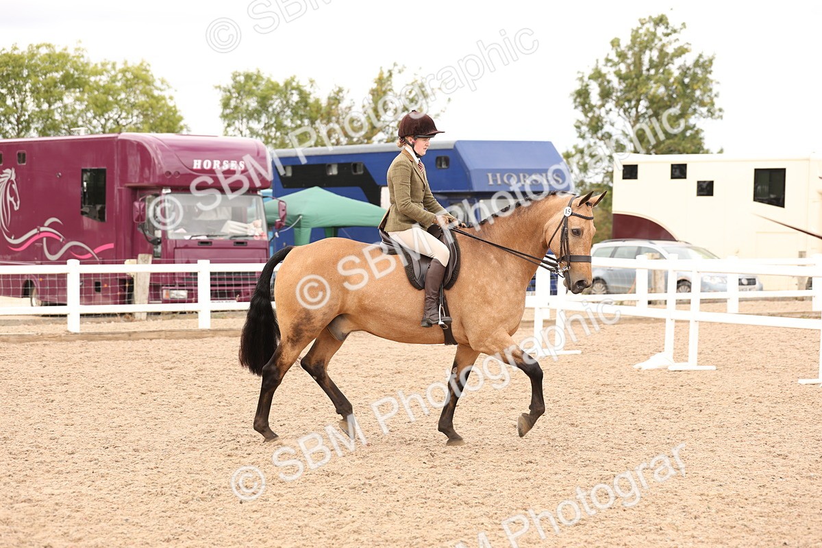 SBM_17196 - Class 213 - Ridden Hunter - Large