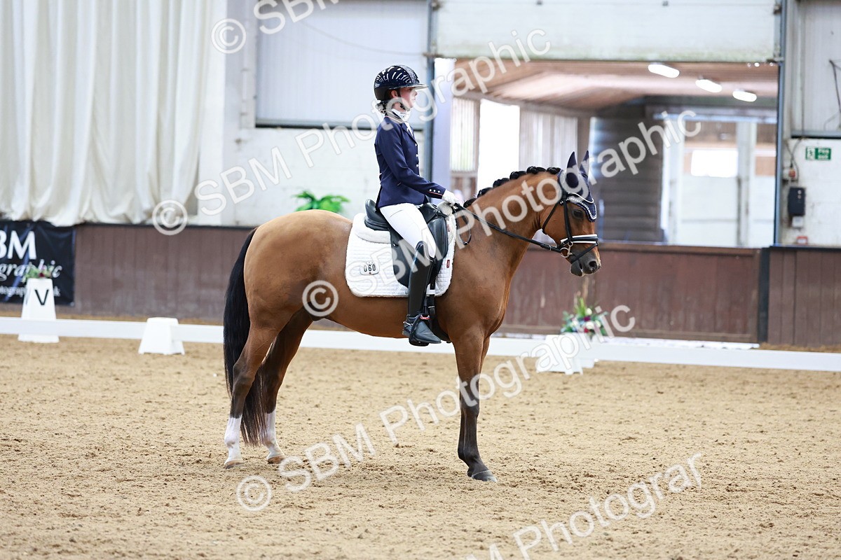 SBM_017286 - Class15 - FEI Pony