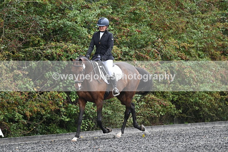 WJ7_3786 - Time 11:04 to 11:38